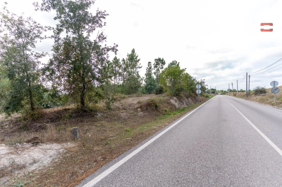 Terreno Agricola ou Rústico para Venda em Juncal Foto 4