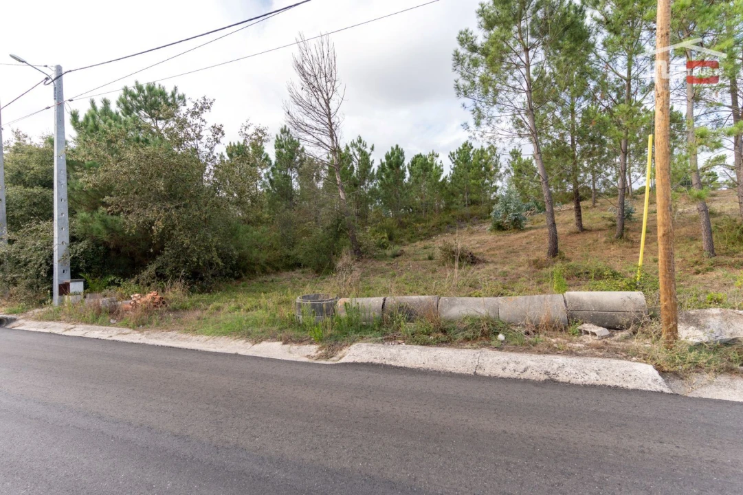 Terreno Agricola ou Rústico para Venda em Juncal Foto 8
