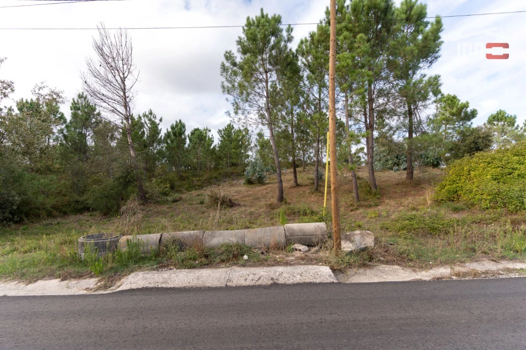 Terreno Agricola ou Rústico para Venda em Juncal Foto 9