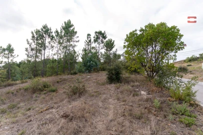 Terreno Agricola ou Rústico para Venda em Juncal