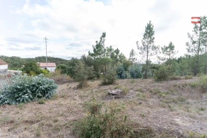 Terreno Agricola ou Rústico para Venda em Juncal