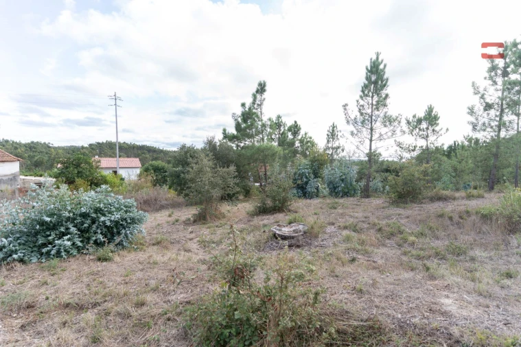 Terreno Agricola ou Rústico para Venda em Juncal Foto 7