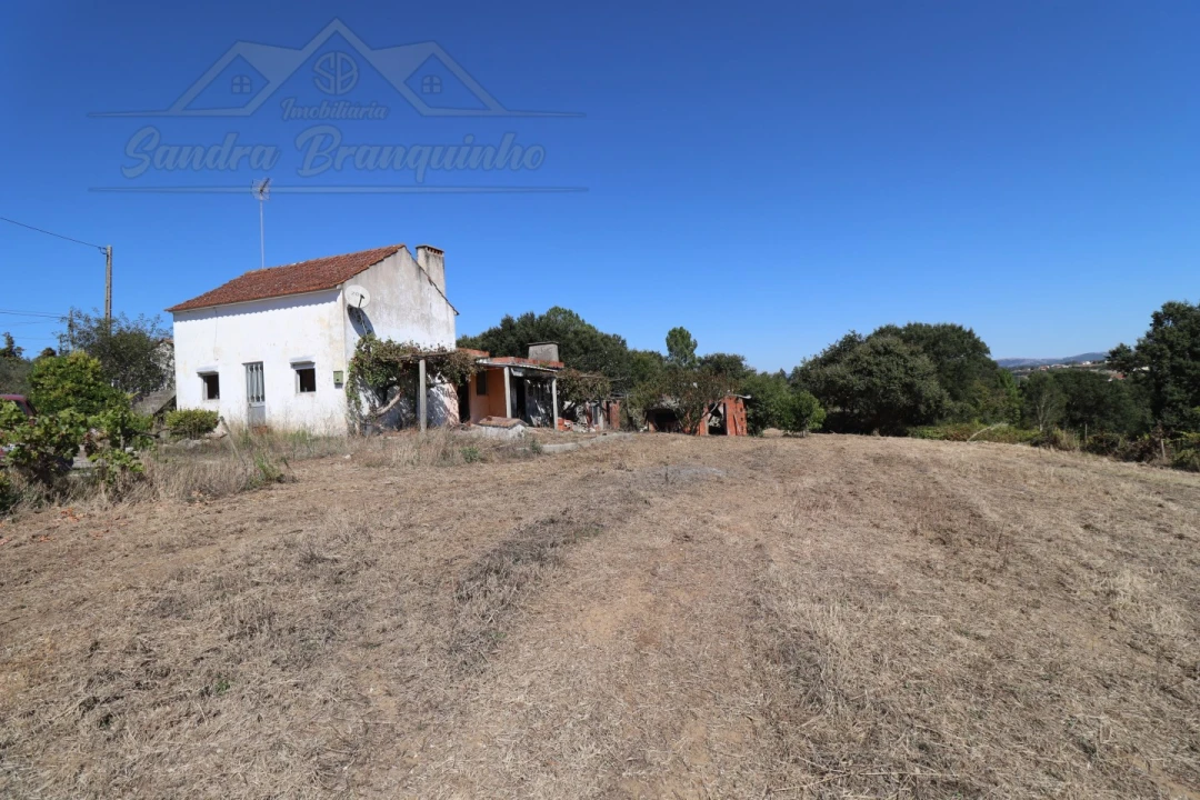 Quinta T4 para Venda em Cela Foto 9