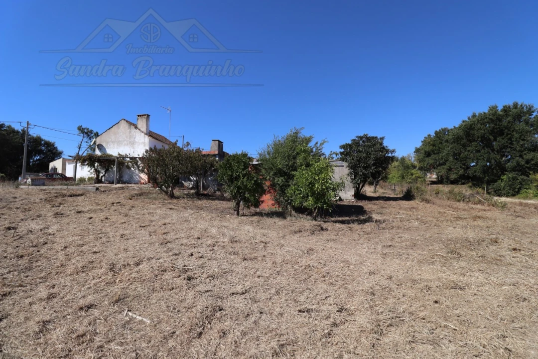 Quinta T4 para Venda em Cela Foto 13