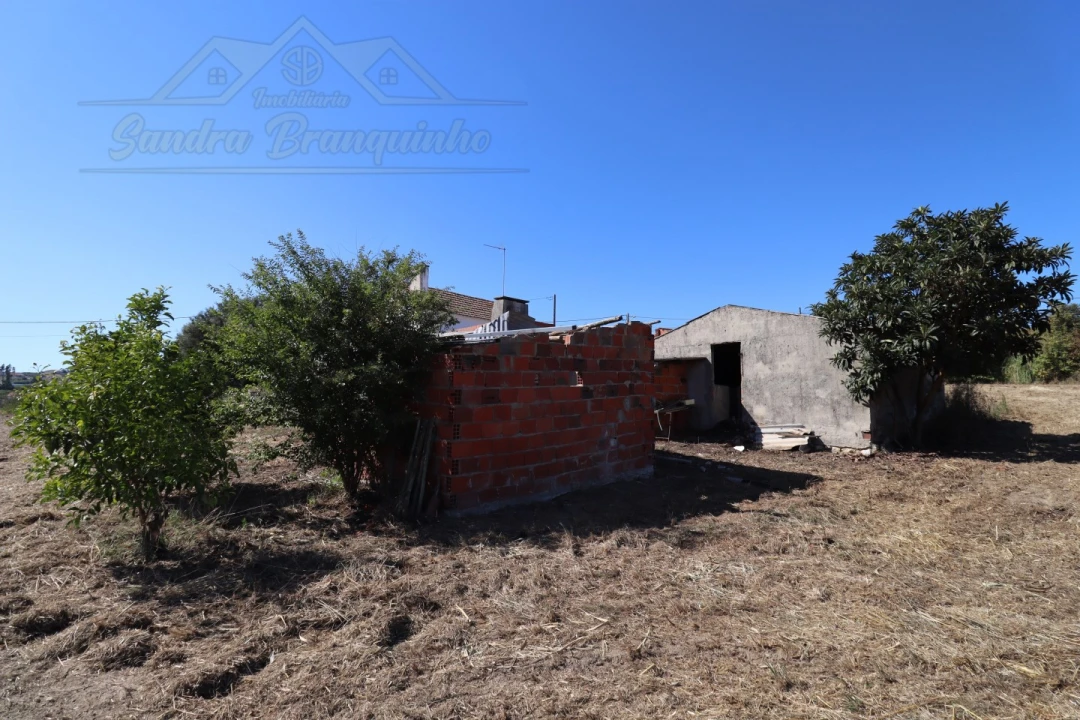 Quinta T4 para Venda em Cela Foto 14