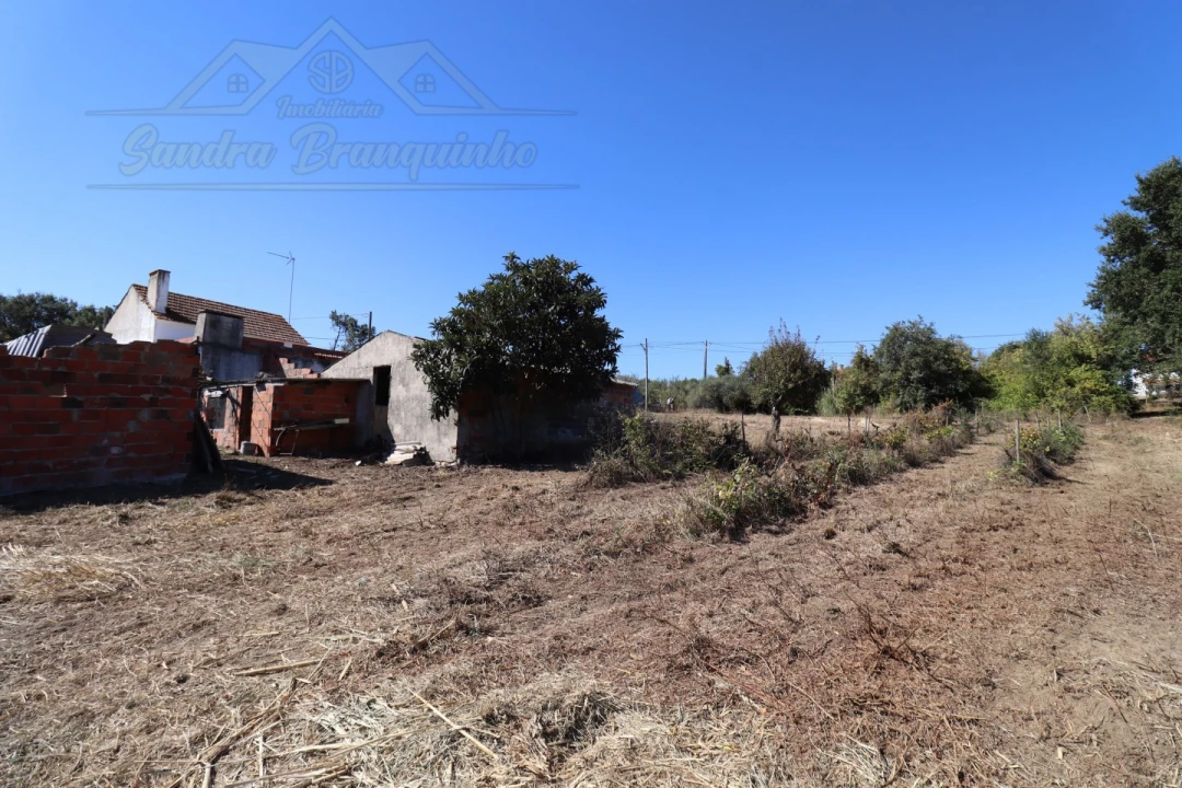 Quinta T4 para Venda em Cela Foto 15
