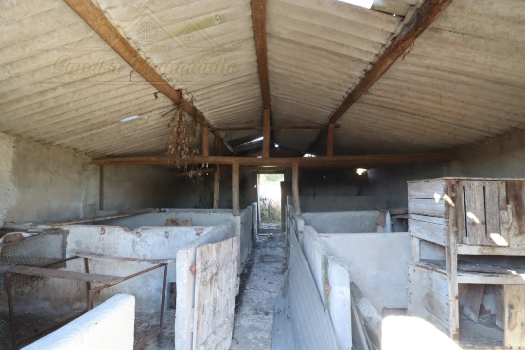 Quinta T4 para Venda em Cela Foto 18