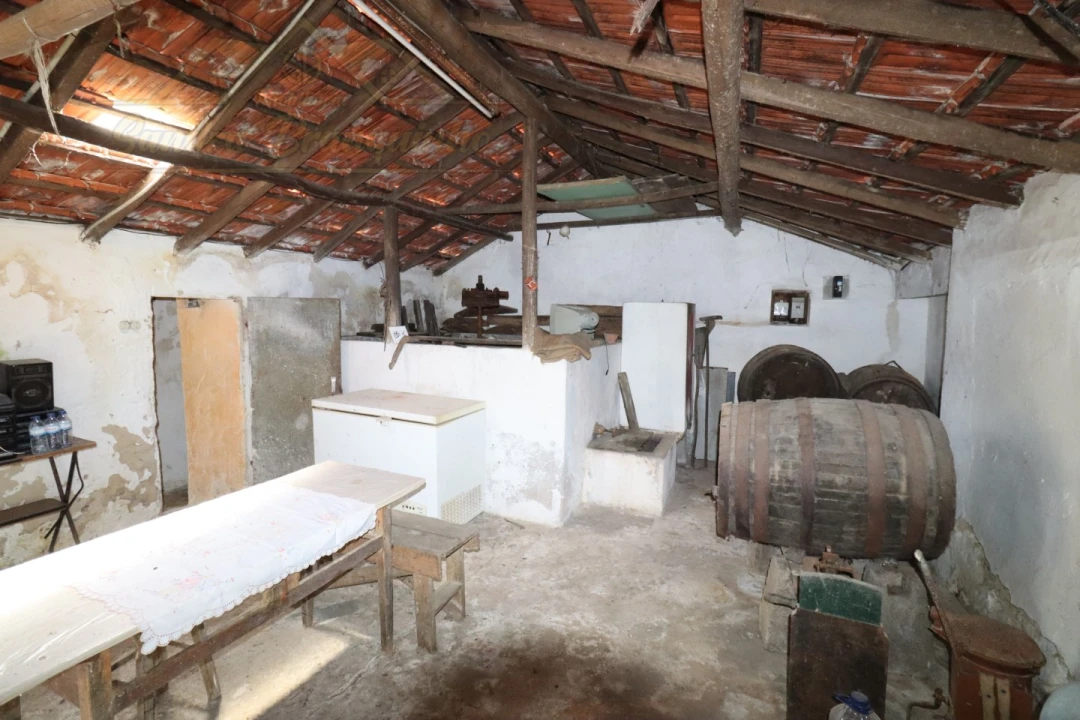 Quinta T4 para Venda em Cela Foto 31