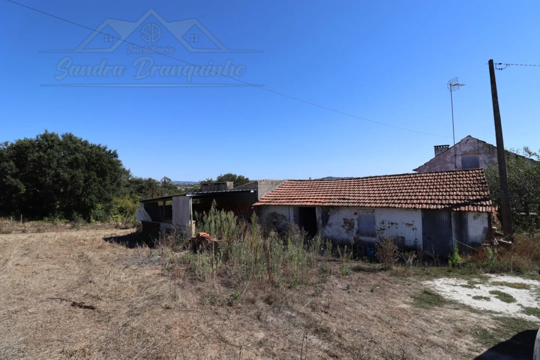 Quinta T4 para Venda em Cela Foto 36