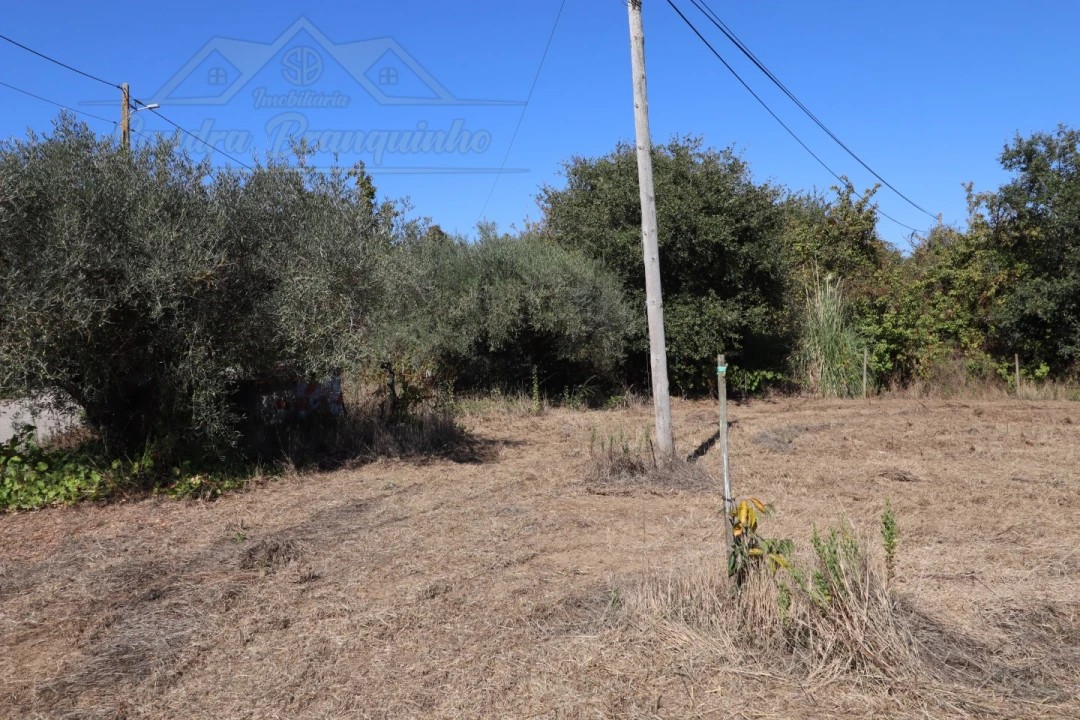 Quinta T4 para Venda em Cela Foto 37