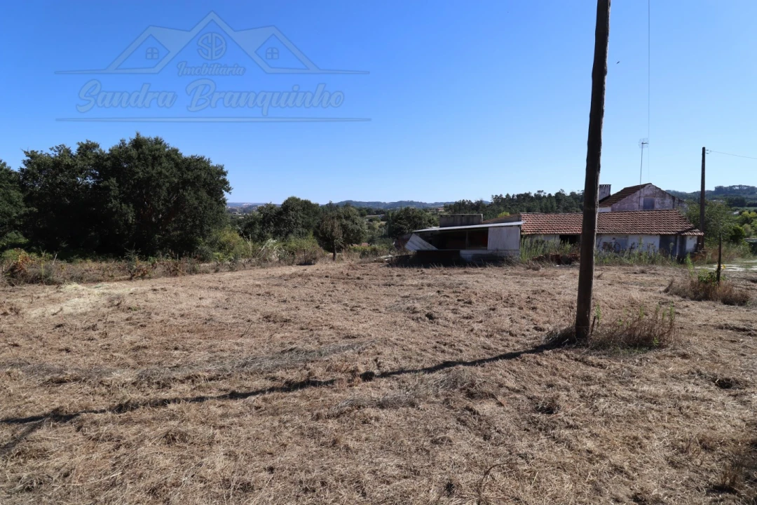 Quinta T4 para Venda em Cela Foto 39