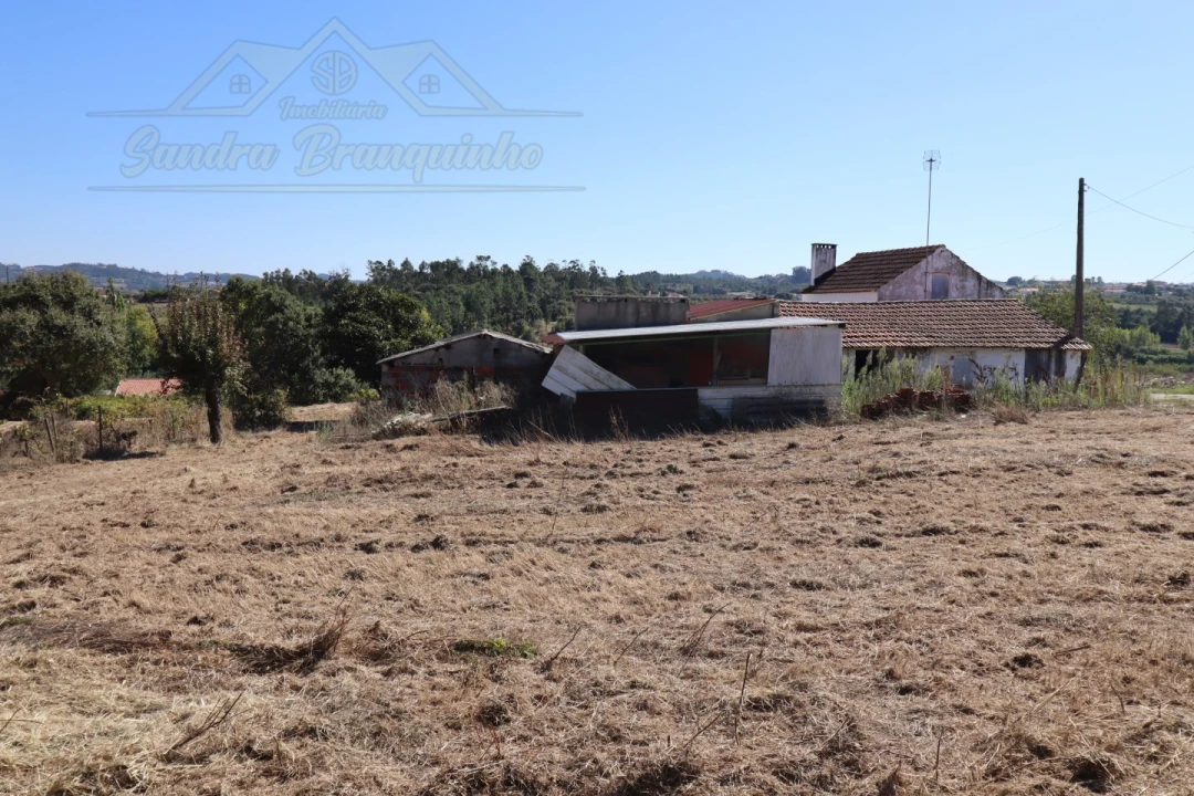 Quinta T4 para Venda em Cela Foto 40