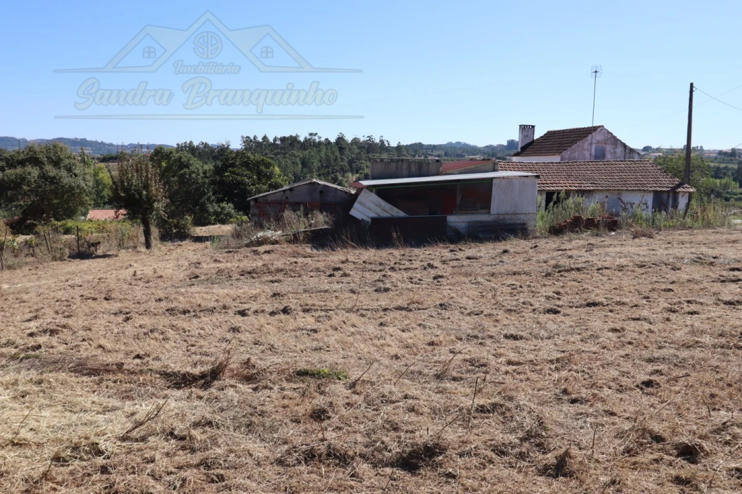 Quinta T4 para Venda em Cela Foto 42