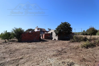 Quinta T4 para Venda em Cela