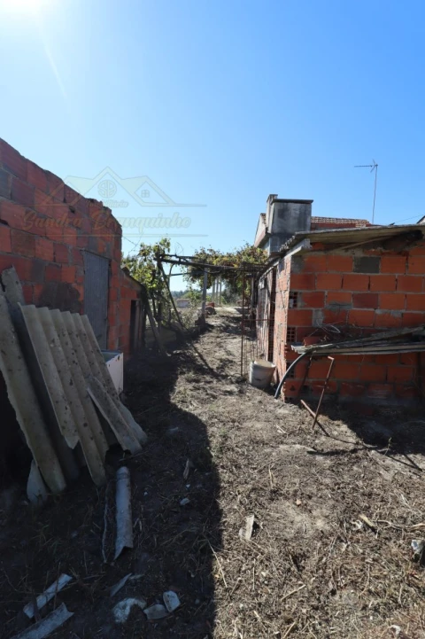 Quinta T4 para Venda em Cela