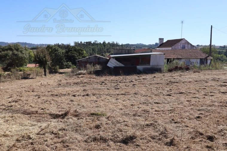 Quinta T4 para Venda em Cela Foto 42