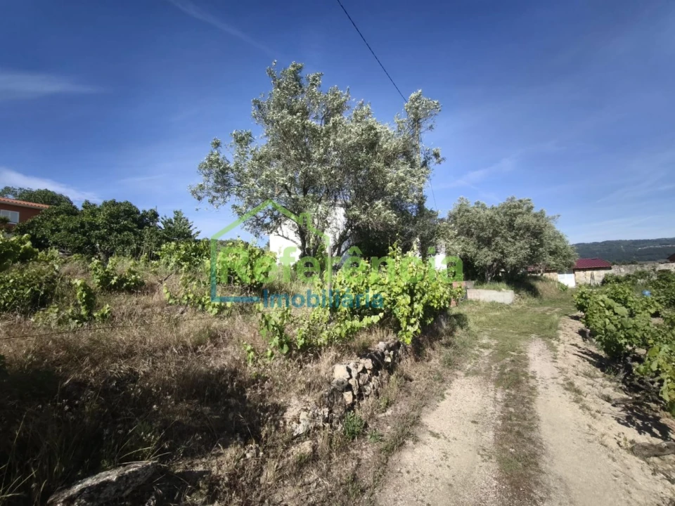 Moradia T3 para Venda em Vidago, Arcossó, Selhariz, Vilarinho Paranheiras Foto 15