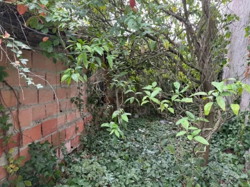 Moradia T1 para Venda em Olho Marinho