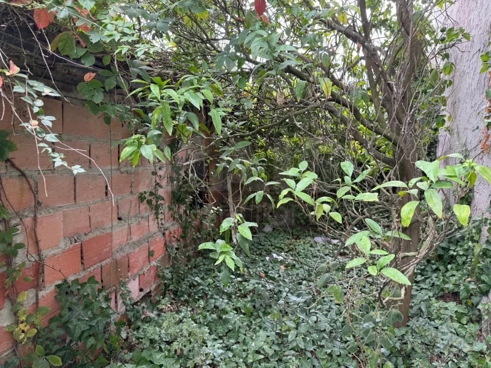Moradia T1 para Venda em Olho Marinho Foto 8