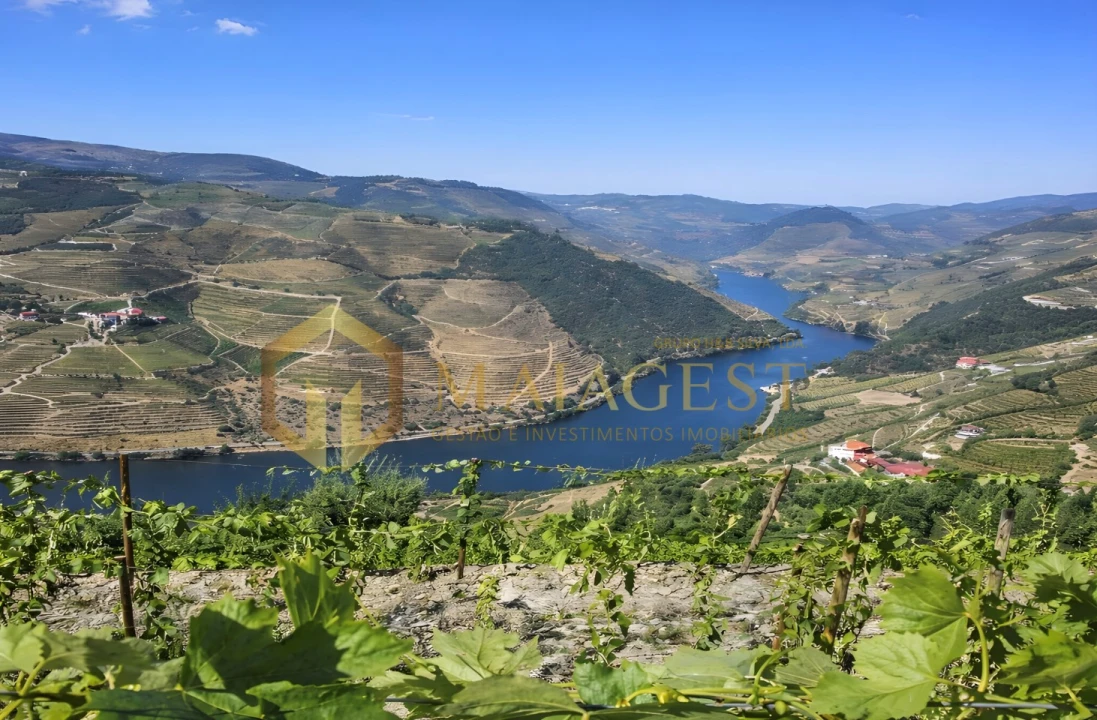 Quinta T3 para Venda em Tabuaço Foto 1