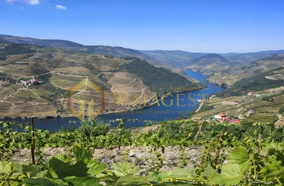 Quinta T3 para Venda em Tabuaço