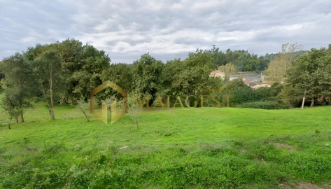 Terreno para Venda em Avintes