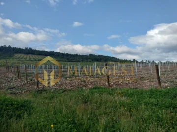 Quinta T3 para Venda em Freixo de Espada a Cinta e Mazouco