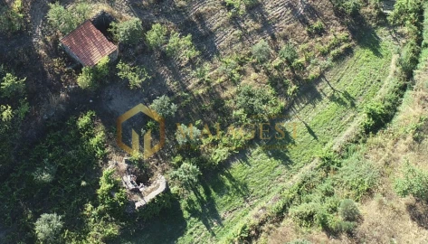 Terreno para Venda em Freixo de Espada a Cinta e Mazouco