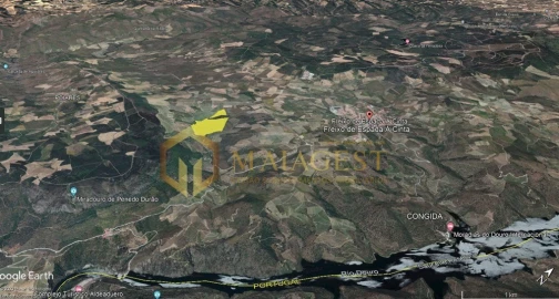 Terreno para Venda em Freixo de Espada a Cinta e Mazouco