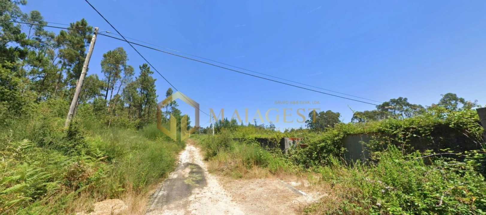 Terreno para Venda em Santa Maria da Feira, Travanca, Sanfins e Espargo Foto 1