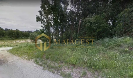 Terreno para Venda em Madalena