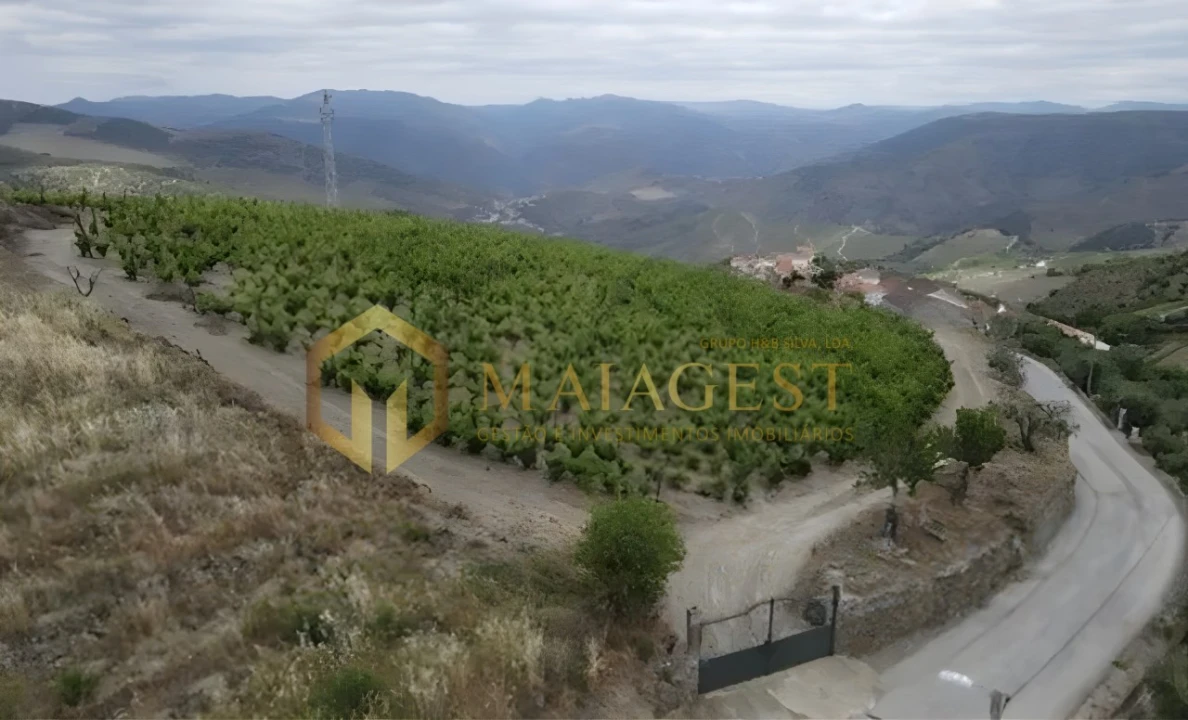 Quinta T6 para Venda em Soutelo do Douro Foto 1