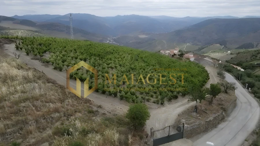 Quinta T6 para Venda em Soutelo do Douro