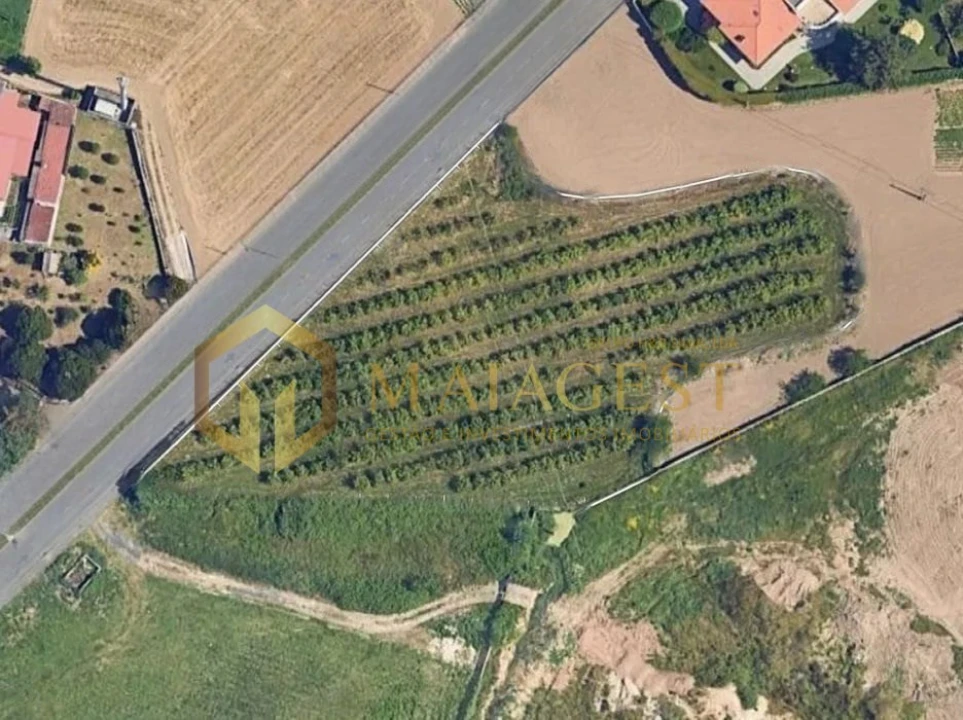 Terreno para Venda em Cidade da Maia Foto 1