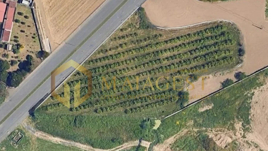 Terreno para Venda em Cidade da Maia