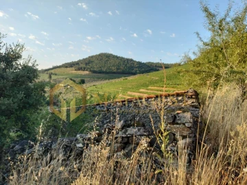 Terreno para Venda em Freixo de Espada a Cinta e Mazouco