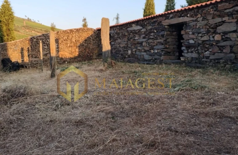 Terreno para Venda em Freixo de Espada a Cinta e Mazouco Foto 13