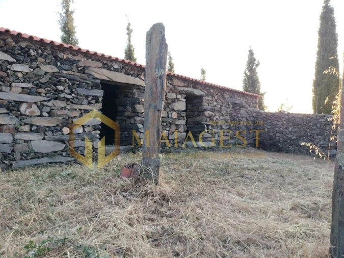 Terreno para Venda em Freixo de Espada a Cinta e Mazouco Foto 15