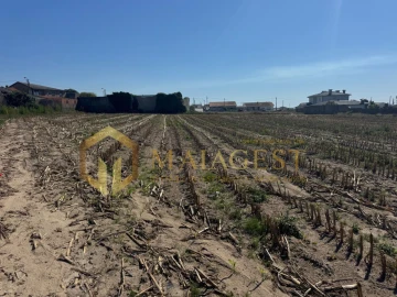 Moradia T4 para Venda em Perafita, Lavra e Santa Cruz do Bispo