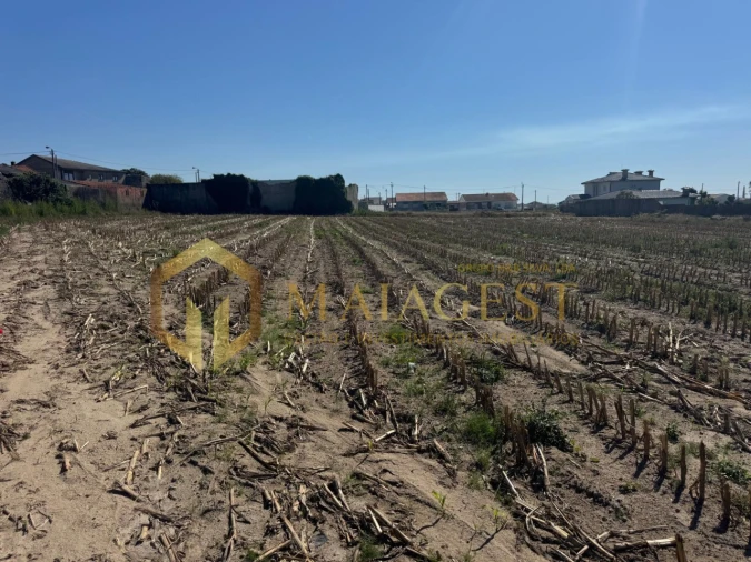 Moradia T4 para Venda em Perafita, Lavra e Santa Cruz do Bispo Foto 10