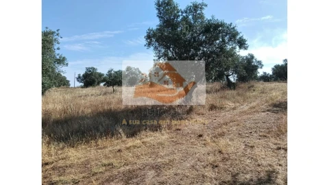 Terreno para Venda em Messejana