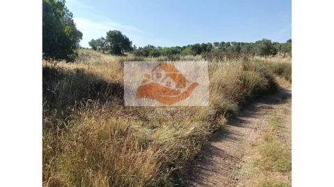 Terreno para Venda em Messejana