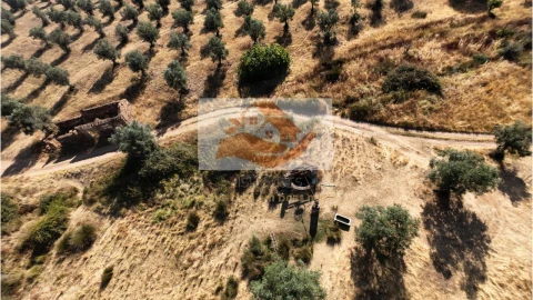 Terreno para Venda em Messejana