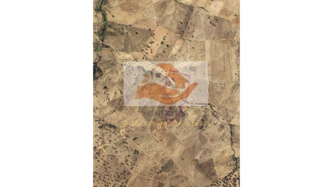Terreno para Venda em Messejana