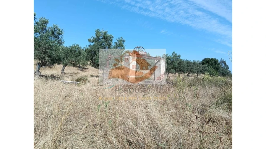 Terreno para Venda em Messejana Foto 6