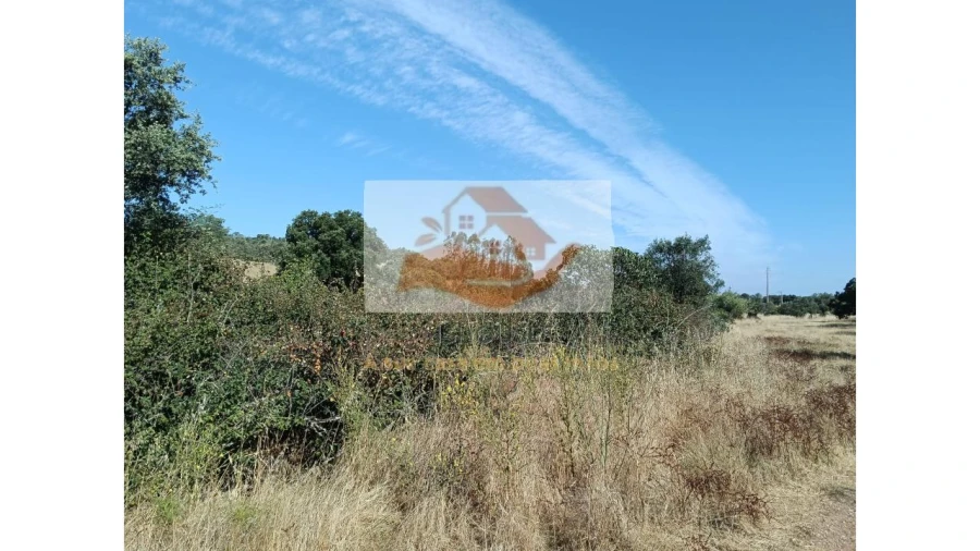 Terreno para Venda em Messejana Foto 11