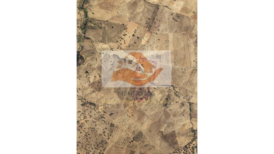 Terreno para Venda em Messejana Foto 19
