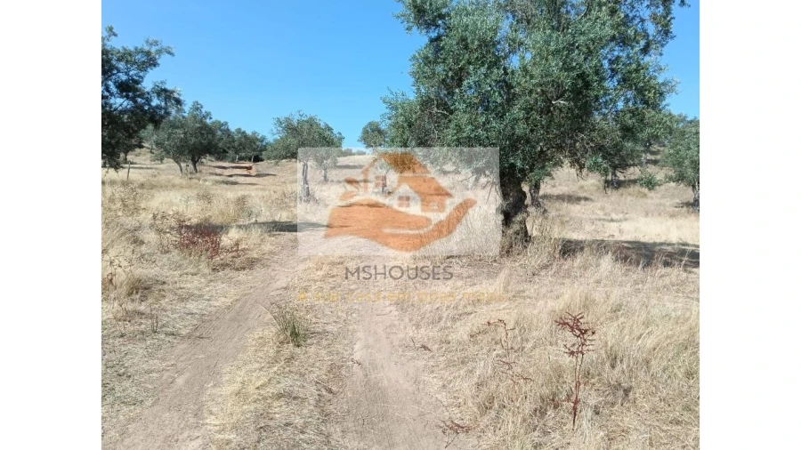 Terreno para Venda em Messejana Foto 23