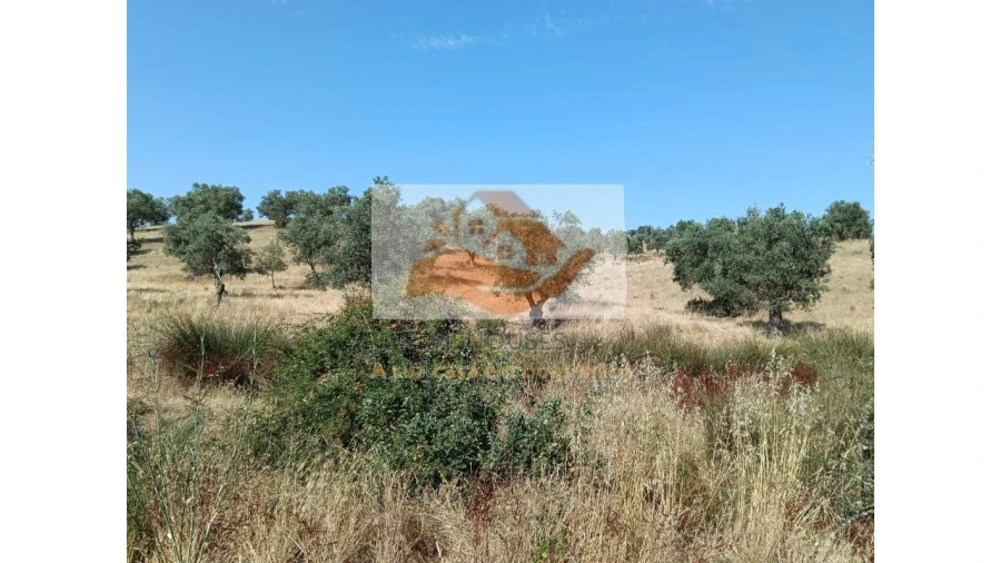 Terreno para Venda em Messejana Foto 31