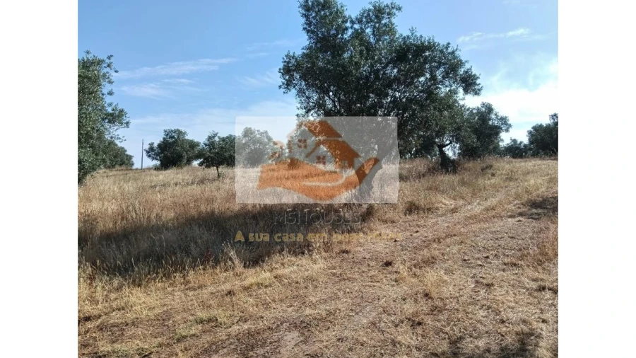 Terreno para Venda em Messejana